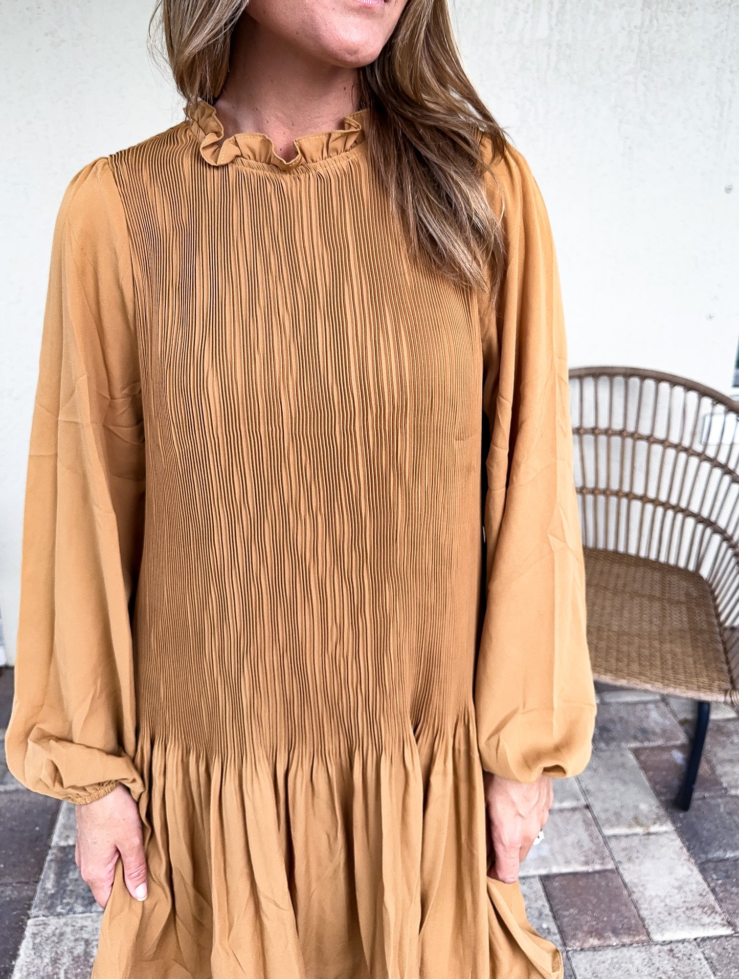 Pleated Body Ruffle Neck Long Sleeve Mini Dress